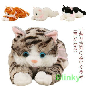  Aj} ʂ sTCY Ђ˂  S30cm/11cm  zCg A lRObY ˂ObY lRG