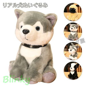 ʂ ViEU[ nXL[  pO A  킢  n  q NX}Xv[g 