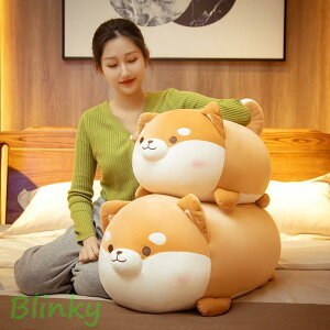 ʂ  Č   킢  NbV  ӂӂ a v[g 50cm