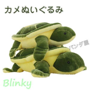 ʂ J   T  YQ NbV 傫 킢 D  aMtg NX}Xv[g 蕨