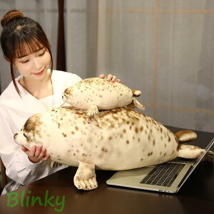 ʂ ujinQGG 킢v[g50cm