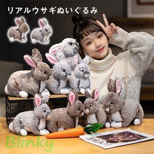   ETM̂ʂ A e  _炩 ӂӂ  q̒a v[g PD-465rabbit