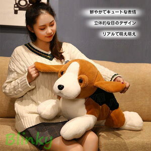 ʂ  r[O  NbV _炩  n  YQ v[g  av[g NX}X 60cm