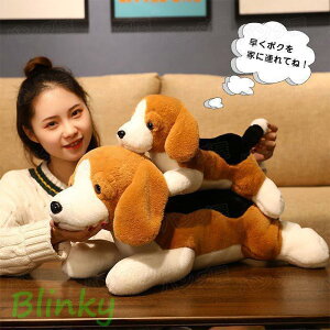 ʂ  r[O  NbV _炩  n  YQ v[g  av[g NX}X 40cm