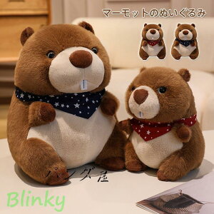 }[bgʂ A ʂ  K ɗD y Mtg q v[g a wj o^Cf[ NX}X