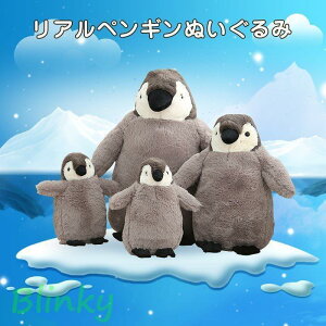 yM ʂ A  l` Gӂӂ KK ₳ 킢 Cm  u CeA v[g a q Mtg 50cm