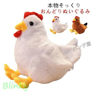 jg ʂ {  ǂ  傫 A Gǂ { ybgq̓ a ObY u G 40cm