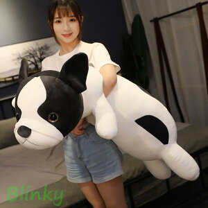 ʂ Ck   YQ NbV ޏ ǂ av[g 120cm