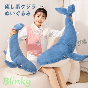 NW ~ ʂ  V^UgENŴʂ NbV ӂӂNW̕ a v[g 蕨 CeA
