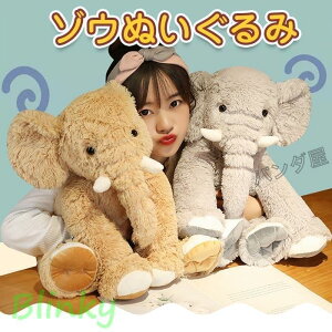 ʂ ]E    킢 D G  A YQ 􂦂 jq av[g 40cm