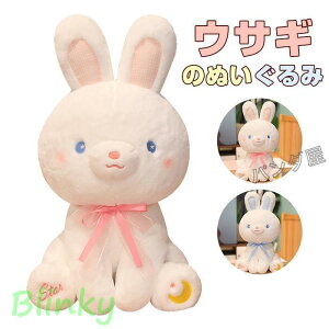 e ʂ݂ ETM    G 킢 G Mtg v[g a LO NX}X VNj 35/50cm