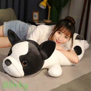 ʂ Ck   YQ NbV ޏ ǂ av[g 100cm