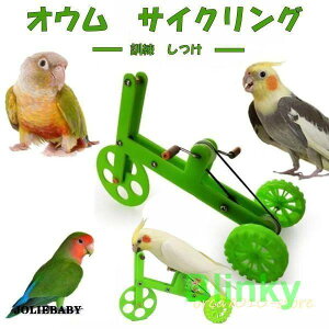 O֎  CR IE ]  P wK V XgX ^