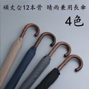 P Y  P JP ^b` 傫110cm ~J΍ amp rWlXP ϕ ^b`P naP H 12{ JpP