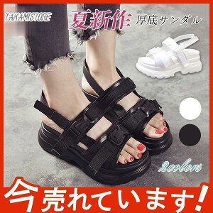 T_ fB[X X|[cT_  ₷ 傫TCY ₷ ʊw Ȃ t JWA  r AEghA