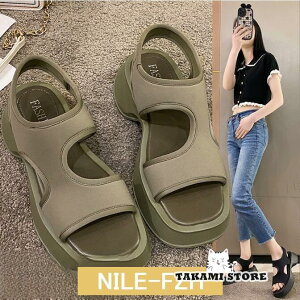 ĐV X|[cT_ fB[X Xgb`z ʋC  T_ X|T ₷ JWA C