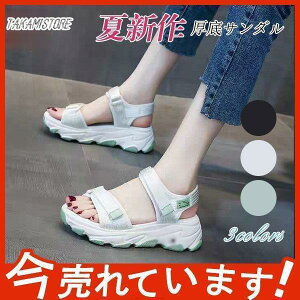 T_ fB[X X|[cT_  ₷ ₷ ʊw _炩 Ȃ t JWA  r AEghA