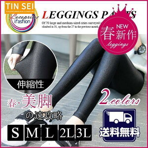 MX fB[X X|[c ʋ ʊw MXpc fB[X 傫TCY h Ȃ n 10 O _X K XLj[pc Xgb`