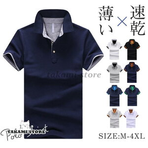 Vc Y  StEGA X|[c ^ z n  ̓ _炩 40 50 v[g rWlX N[rY