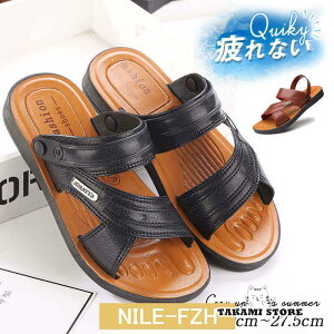 T_ Y X|[cT_ 2way JWA ʋC  y Ȃ C Xb| ɂȂ  