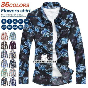 Vc Y Vc ԕVc JWAVc CVc  vg 傫TCY t  H 36F