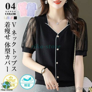 TVc fB[X  TVc VtHn y ʋC VlbN gbvX V[X[ n  JWA  