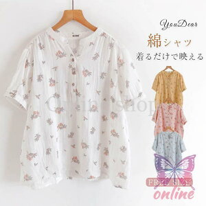 Vc fB[X   K[[Vc uEX fB[X ԕ VcuEX Rbg  ʋC Vv ܂ 傫TCY Sn ̌^Jo[