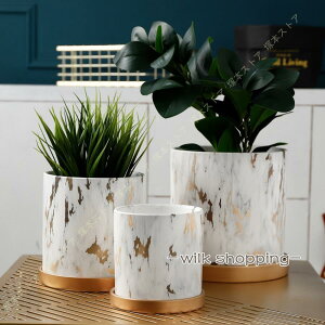 Aؔ 픫 S[h  󂯎Mt t 嗝Ζ͗l  v^[ A k  CeA   ϗtA A AA 11cm