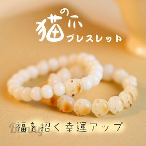 L uXbg  ̓ L̑ fB[X  L̒ L̎ ӏ K^ a 蕨    Mtg 