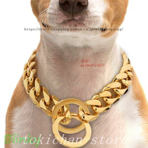 `F[փXeXg[jO`[NXbv^hbOS[h