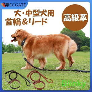 p  [h ^ ^ ybg[h v U[ ^ XvOt Ռɘa Kɋ v  ҂ 