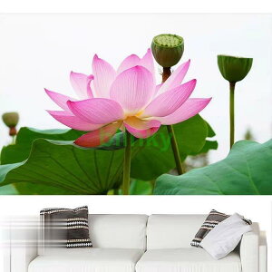 �E�H�[���X�e�b�J�[ �ǎ� �V�[�� ���i�X�e�b�J�[ �ǃV�[�� �C���e���A ������� �h�� �N���G�C�e�B�u���� ���r���O���[�� ���S���� �Ǐ��� �@�̉�