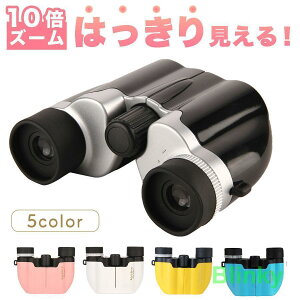 oዾ RT[g { Cup 10{ h[ y ό RpNg q X|[cϐ o[hEHb`O IyOX Xgbbv P[Xt