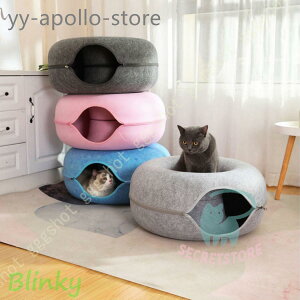 Lxbh LnEX ybg xbh h[^ lR gl O\ 􂦂 ʔN Wbp[ tFg Lbgxbh LƏ^ 薰 ybgpi