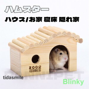 nX^[B nX^[nEX ؐ nEX   B nX^[p Q ``  P[Wp X nEX bg ~jAj}