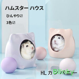 nX^[nEXh[t남ւBƐQA悯VуgCЂ菋΍