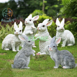 K[fI[ig   AeB[N Ƃ̑ ̒u fR[V ObY  ẽIuWF A ̑ |