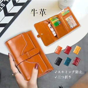 ~jz O܂z ܂ {v v ~j fB[X  Y XL~Oh~ K RpNg 킢  v[g