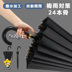 JP WvP Y P Jp StP jp  2type ^b` ܂ɂ 24{ P ɋ