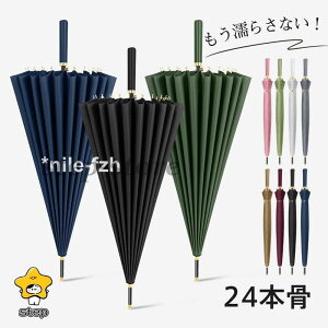 JP P WvP fB[X StP Jp jp  ^b` ܂ɂ 24{ P ɋ ~J΍