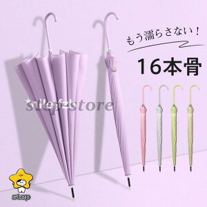 JP P WvP fB[X StP Jp jp  ^b` ܂ɂ 16{ P ɋ ~J΍