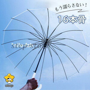 JP P WvP fB[X StP jp  ^b` ܂ɂ ʋΒʊw 16{ P ɋ ~J΍