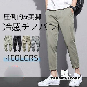 `mp Ypc Xpc amY{ `m TT ڐG⊴ Stpc C[W[pc t Xgb` אg r 傫TCY