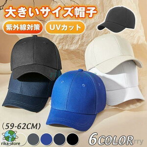 Lbv Y 傫TCY Xq 59-62cm n 싅X Rbg StXq  x[X{[Lbv