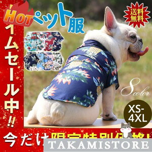  hbOEGA AnVc ybg Vc ybgEGA  L ^ ^  U o| s  ʋC 