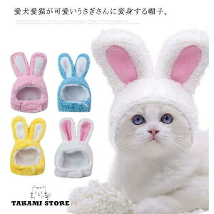 ybgXq RX`[ ybgpnbg lR L  Ck ^ ANZT[ CX^f Xk[h Ԃ蕨 ̎ X