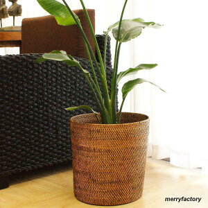 ^ Jo[  ^  JS oXPbg [ 傫  AWAG  k ϗtA oG