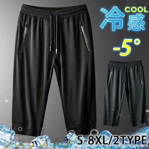 V[gpc Y bV  n[tpc z W[W n 傫TCY  Zp  X|[cEFA