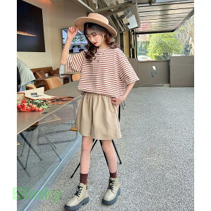 q ZbgAbv ̎q   2_Zbg qW[W qbvzbv ؍q LbY   w ʊw Vi 120 130 140 150 160