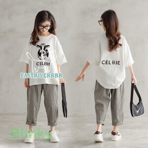 ZbgAbv ؍q W[W LbY ̎q ㉺Zbg  t gbvX TVc n[tpc Zp X|[cEFA    V